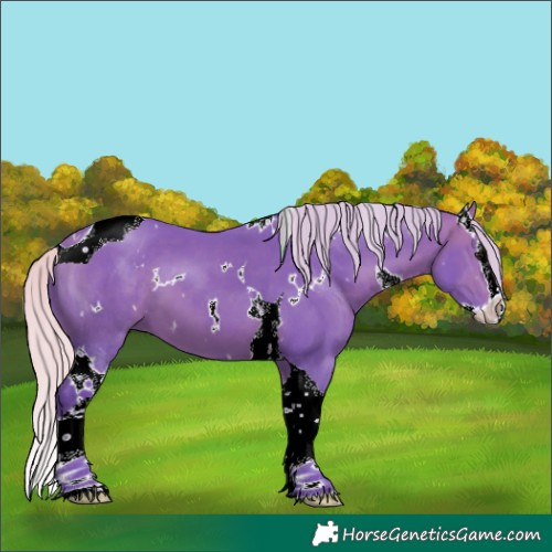 Horse Color:Watercolor White Spotted Silver Brown Splash Tobiano 