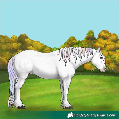 Horse Color:Nacre Watercolor Silver Brown Sabino Rabicano