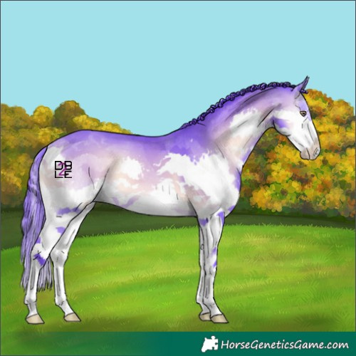 Horse Color:Watercolor Bay Chinchilla Onyx Splash 
