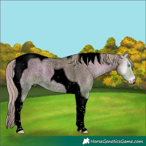Horse Color:Void Watercolor Smoky Creme Roan Onyx Tobiano 