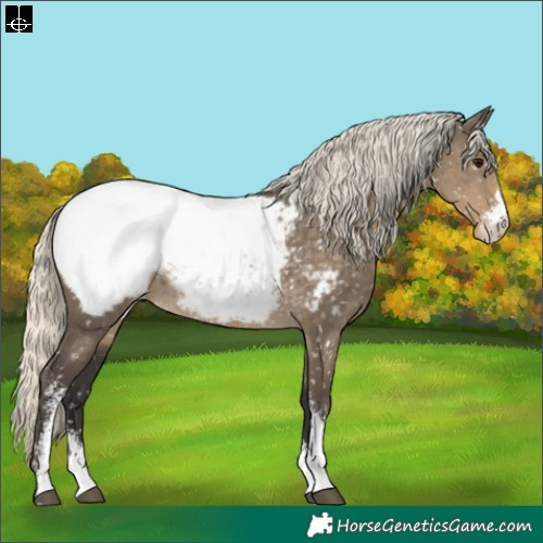 Horse Color:Silver Smoky Grullo Sabino Snowcap 