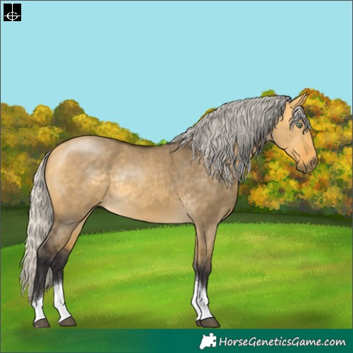 Horse Color:Silver Buckskin Dun Tobiano Rabicano 