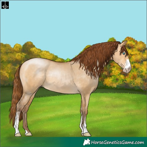 Horse Color:Gray Buckskin Pearl Dun Sabino Rabicano 