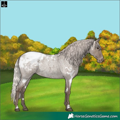 Horse Color:White Spotted Silver Grullo Roan Snowcap Rabicano 