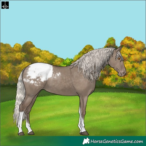 Horse Color:Silver Grullo Tobiano Snowcap