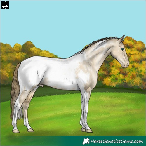 Horse Color:Smoky Grullo Pearl Mushroom Tobiano Appaloosa Rabicano 