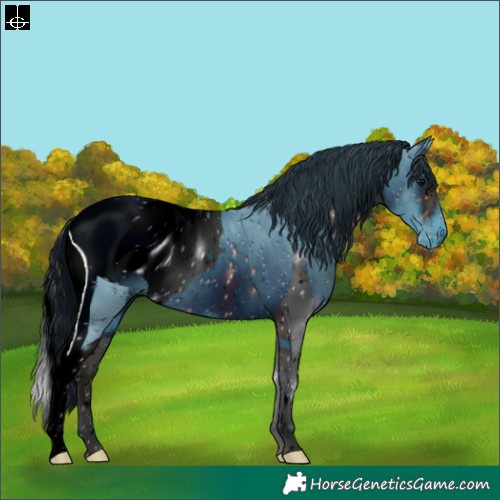 Horse Color:ERROR: UNKNOWN ANOMALY