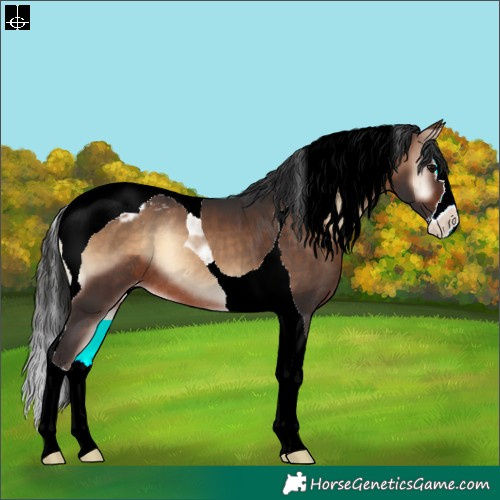 Horse Color:Brown Onyx Splash Tobiano Varnish Rabicano