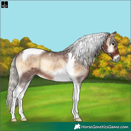 Horse Color:Silver Brown Ice Onyx Tobiano