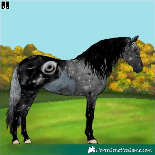 Horse Color:ERROR: UNKNOWN ANOMALY