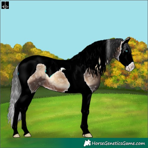 Horse Color:Brown Ice Onyx Splash Tobiano 