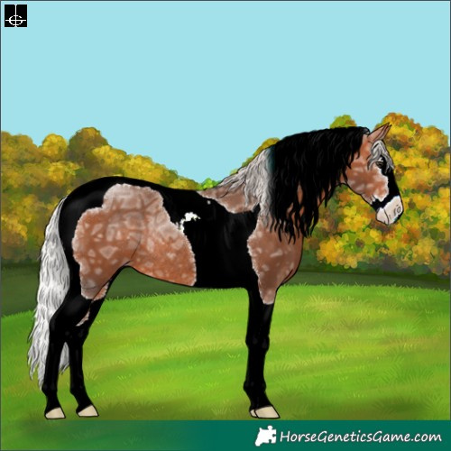 Horse Color:Silver Bay Ice Splash Tobiano Rabicano