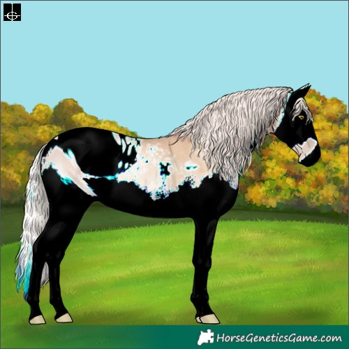 Horse Color:ERROR: UNKNOWN ANOMALY