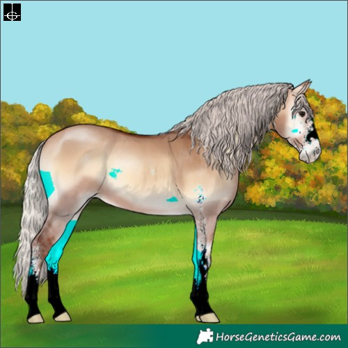 Horse Color:Silver Bay Onyx Sabino 