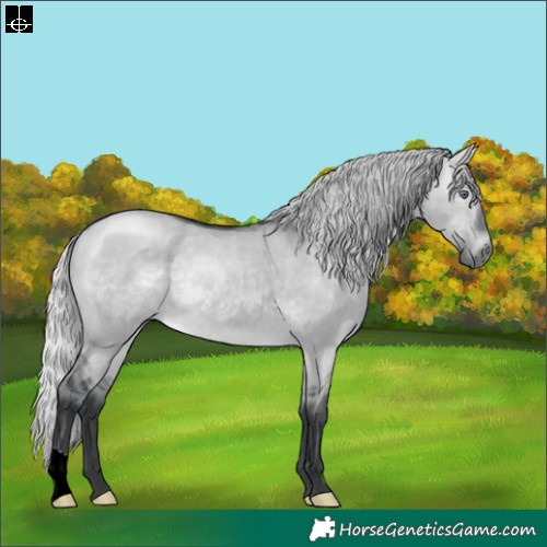 Horse Color:Silver Brown Chinchilla Dun 