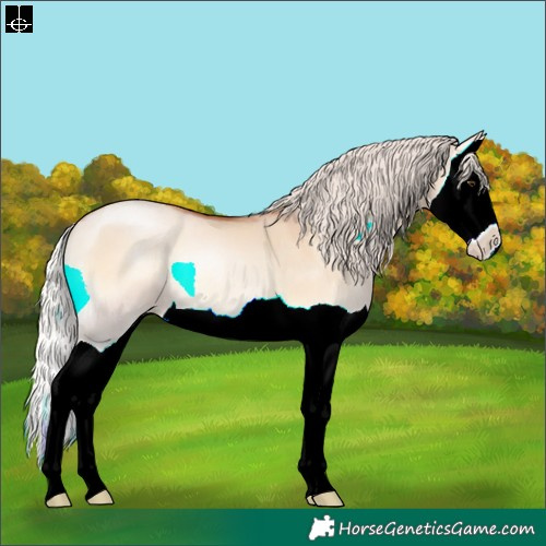 Horse Color:Silver Brown Pearl Onyx Splash