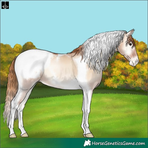 Horse Color:Brown Pearl Onyx Tobiano Snowcap 
