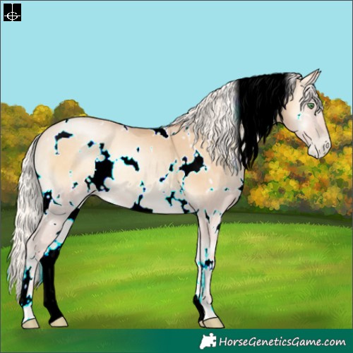 Horse Color:White Spotted Silver Smoky Blue Onyx Pearl Rabicano 