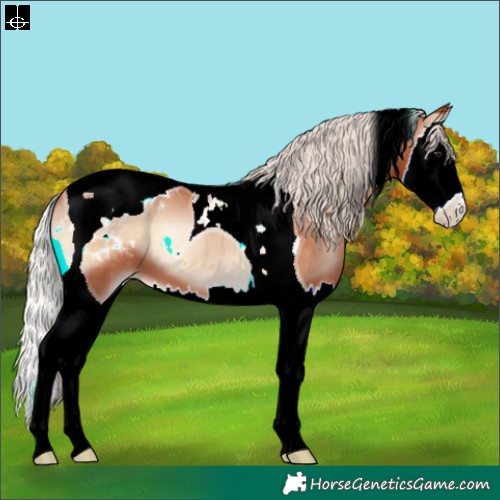Horse Color:Silver Brown Pearl Onyx Splash Tobiano Blanket