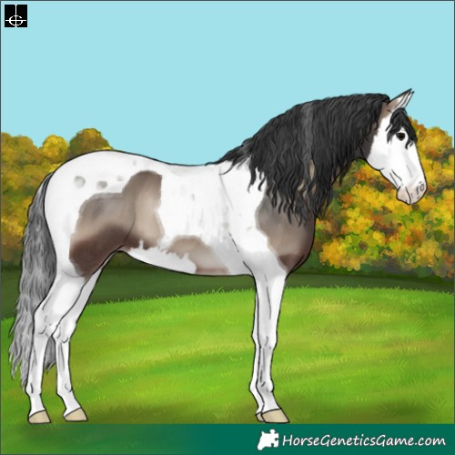 Horse Color:Blue Onyx Splash Tobiano 