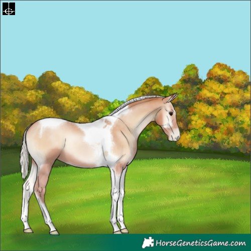 Horse Color:Silver Blue Onyx Pearl Tobiano