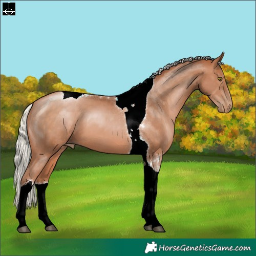 Horse Color:Silver Brown Pearl Tobiano