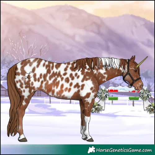 Horse Color:Chestnut Tobiano Near Leopard