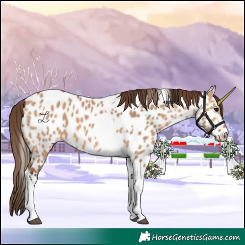 Horse Color:Bay Dun Tobiano Near Leopard