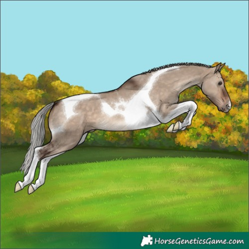 Horse Color:Silver Brown Dun Tobiano