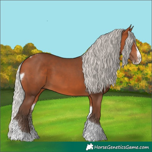 Horse Color:Silver Bay Splash Tobiano