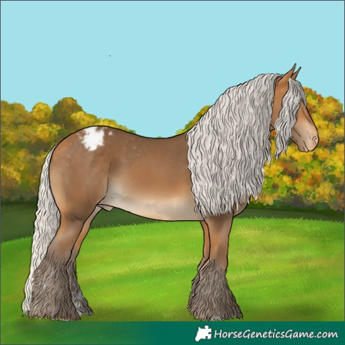 Horse Color:Silver Buckskin Appaloosa 