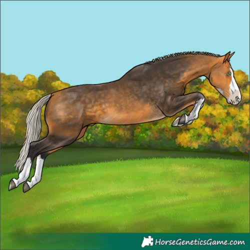 Horse Color:Silver Buckskin Splash