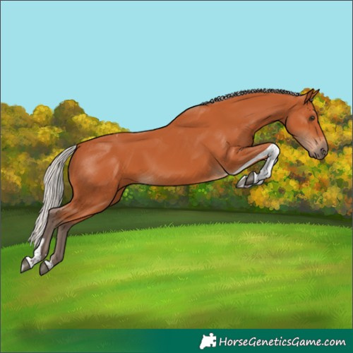 Horse Color:Silver Bay Tobiano 