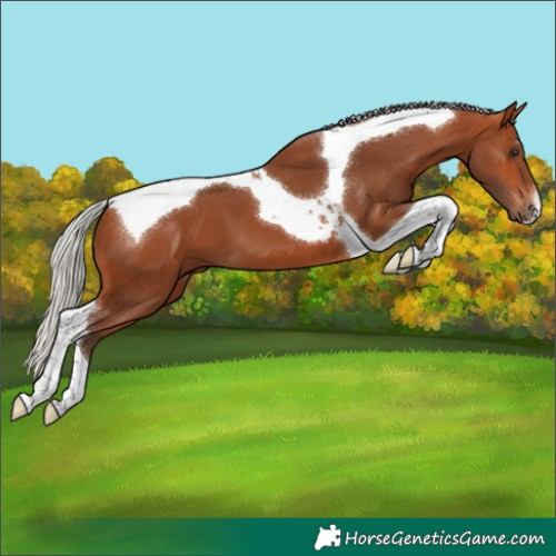 Horse Color:Silver Bay Tobiano