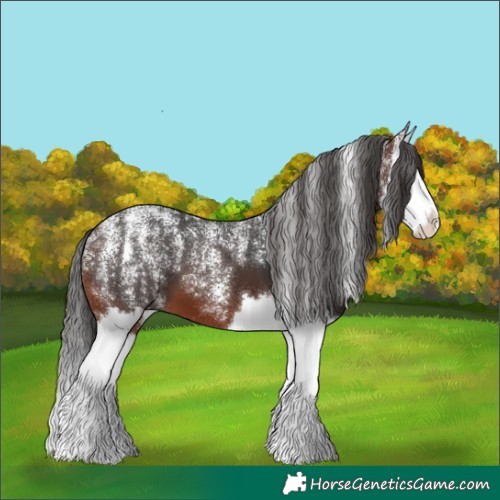Horse Color:Powder White Brown Splash
