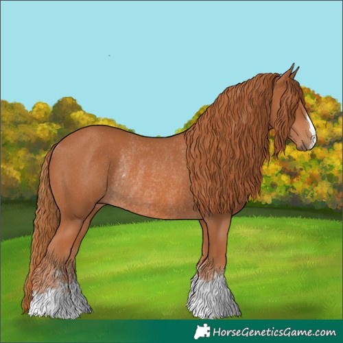 Horse Color:Chestnut Rabicano