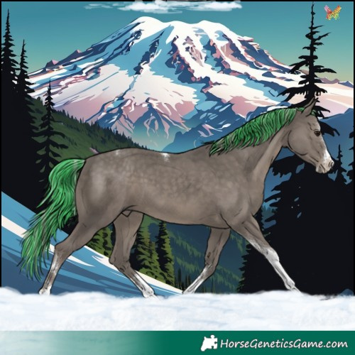 Horse Color:Painted Silver Black Sabino Splash Tobiano 