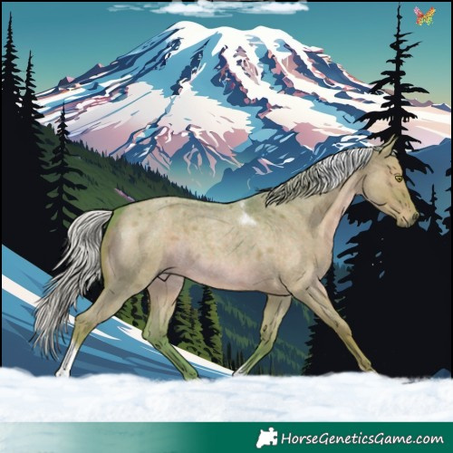 Horse Color:Watercolor Silver Grullo Roan Tobiano