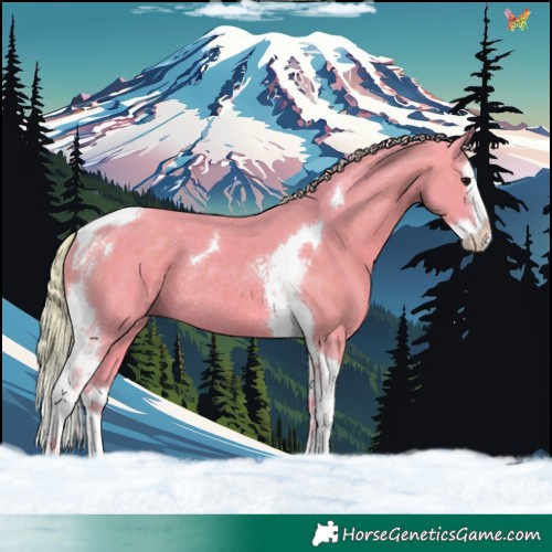 Horse Color:Watercolor Silver Black Splash Tobiano Rabicano 