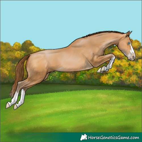 Horse Color:Gray Buckskin Pearl Splash