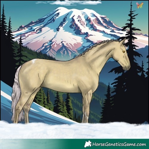 Horse Color:Watercolor Silver Grullo Tobiano Rabicano 