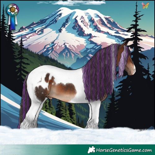 Horse Color:Painted Brown Tobiano Appaloosa 