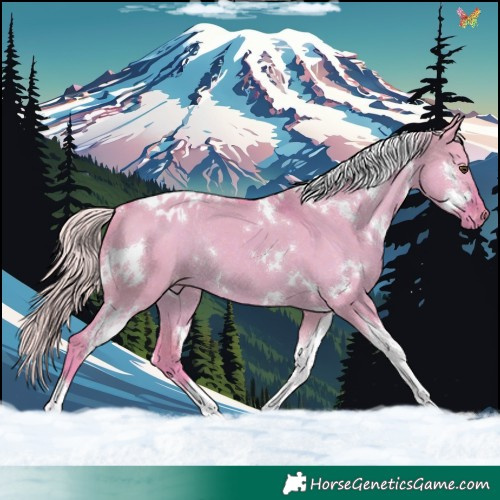 Horse Color:Watercolor White Spotted Silver Brown Dun Tobiano Appaloosa Rabicano 