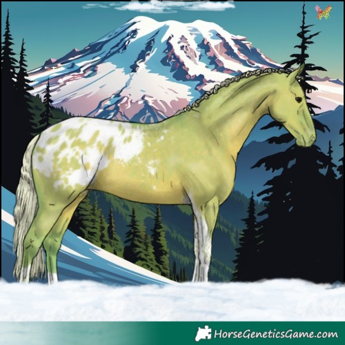 Horse Color:Watercolor Silver Grullo Tobiano Appaloosa Rabicano