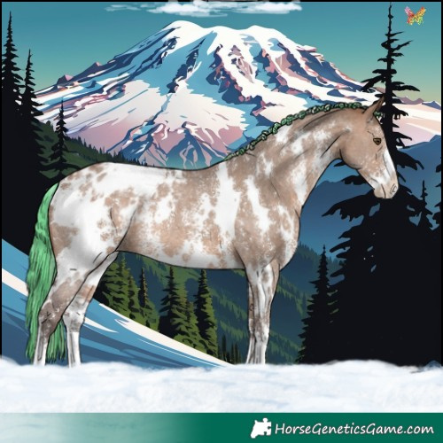 Horse Color:Painted White Spotted Silver Brown Dun Sabino Appaloosa Rabicano