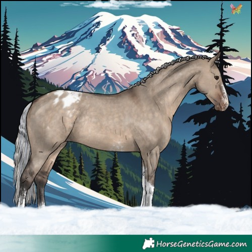 Horse Color:Painted Silver Brown Dun Sabino Tobiano Appaloosa Rabicano