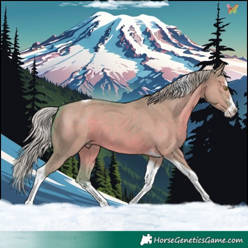 Horse Color:Watercolor Silver Grullo Sabino Splash Tobiano Varnish Rabicano 