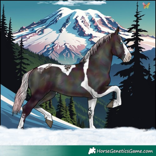 Horse Color:Watercolor Midnight Silver Brown Onyx Splash Tobiano 