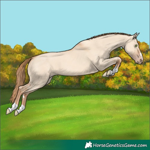 Horse Color:Gold Champagne Dun