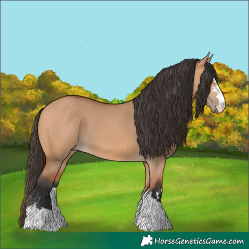 Horse Color:Bay Dun